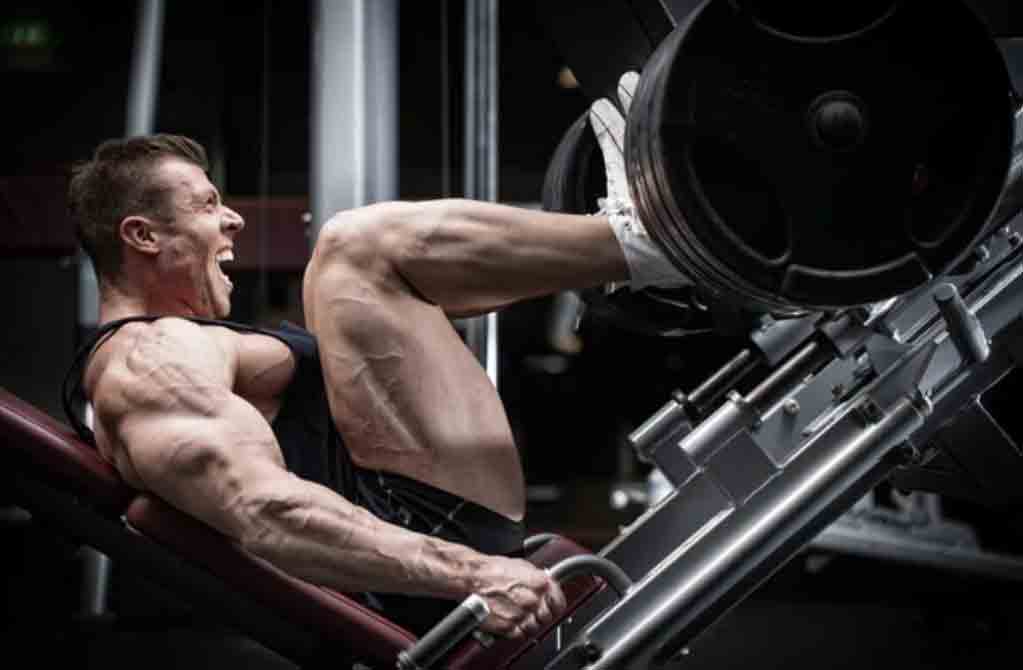 15 Best Leg Workout Machines And Activity