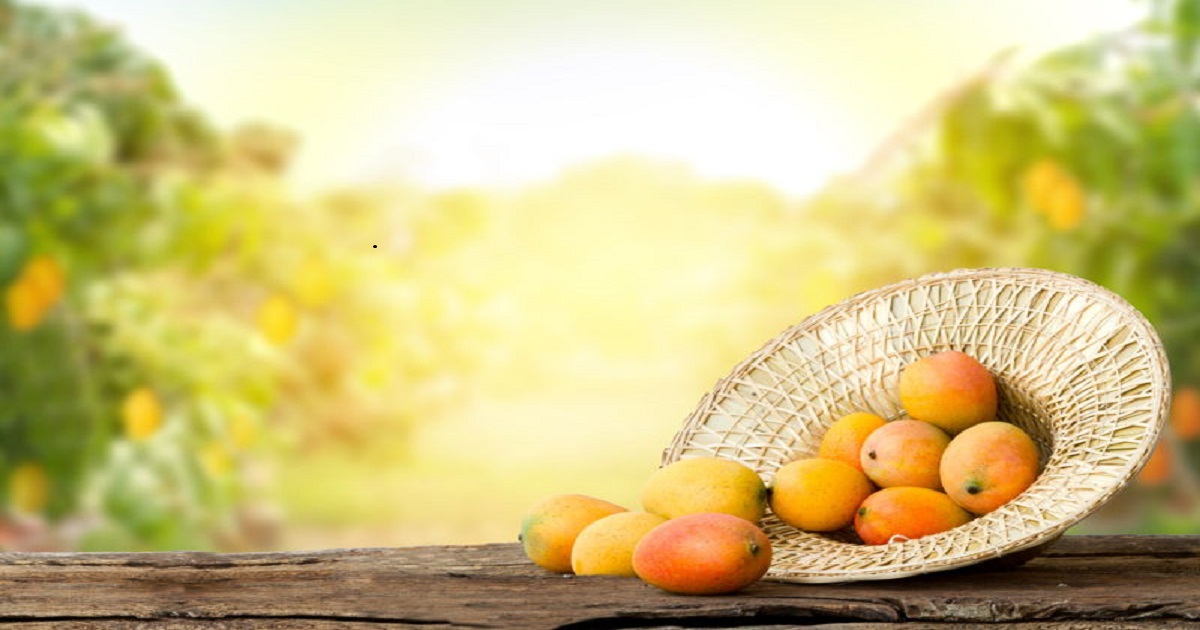 Mango Companies in Pakistan