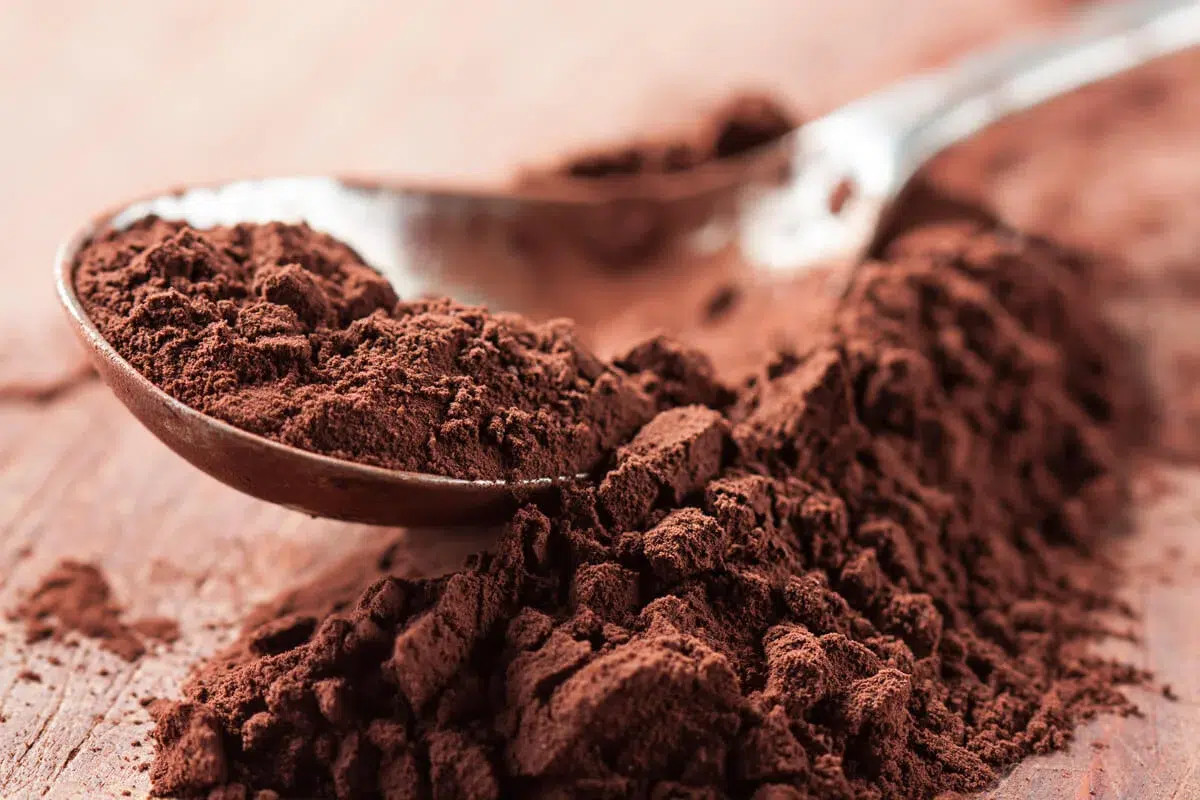 From Bean to Bake: The Journey of Cocoa Powder